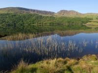 Spiegelungen im Lough Inchiquin - Gleninchaquin Park, Co. Kerry
